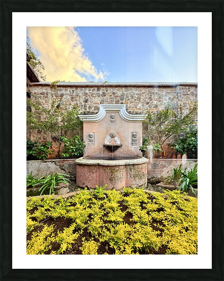 IMG 9960 Picture Frame print