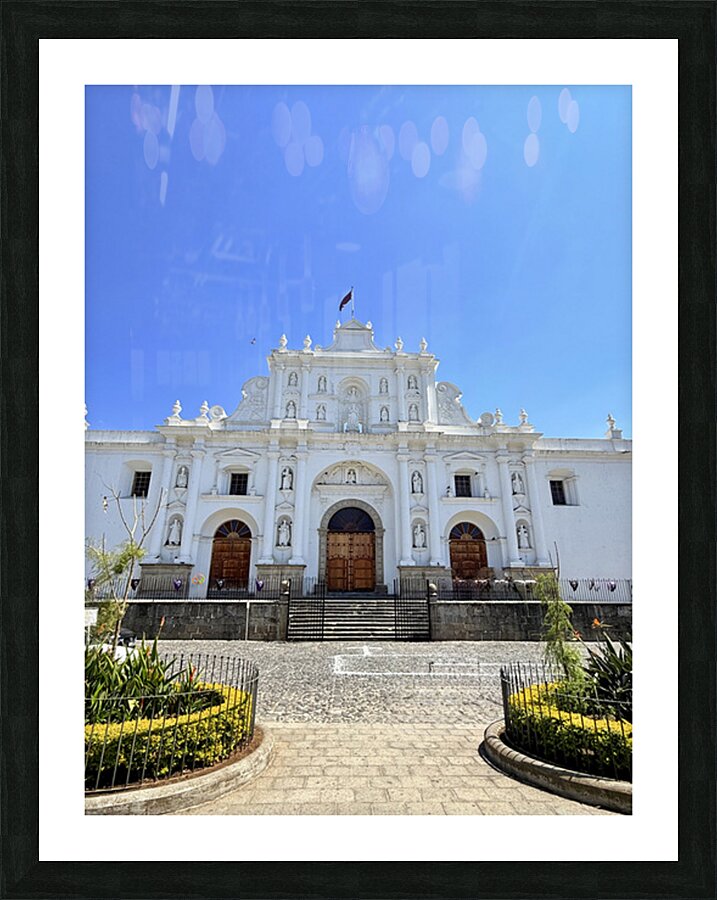 IMG 0284 Picture Frame print