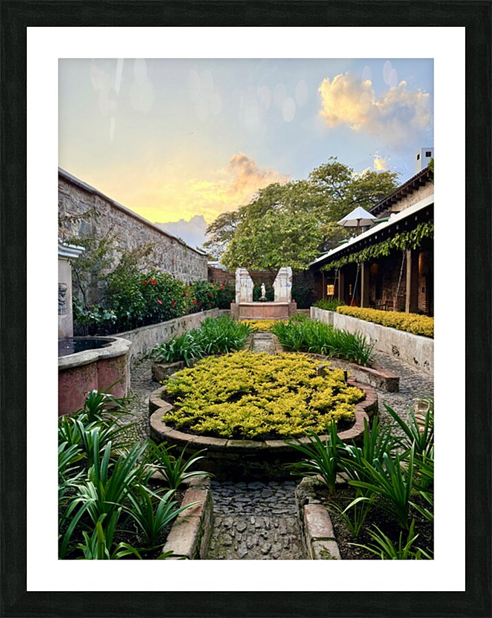 IMG 9950 Picture Frame print