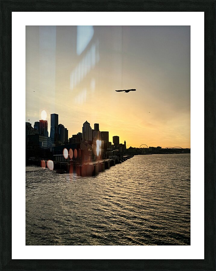 IMG 8007 Picture Frame print