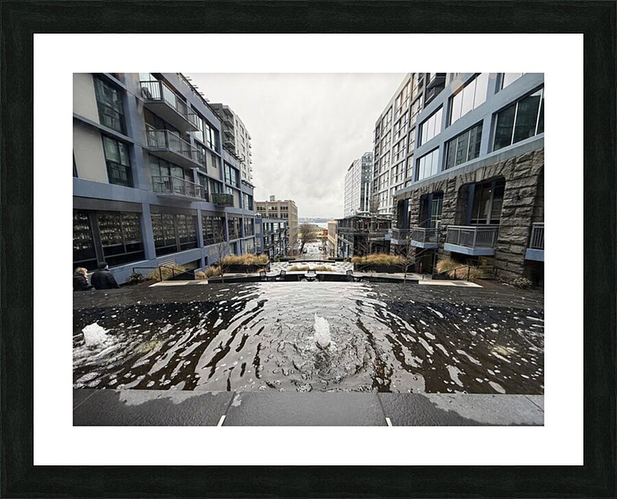 IMG 8438 Picture Frame print