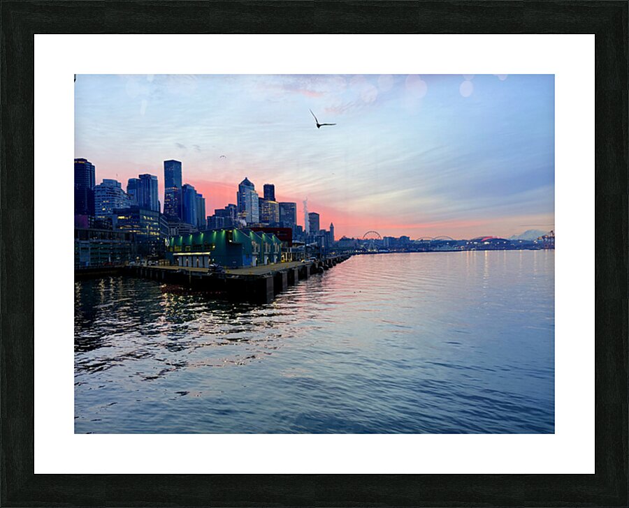 IMG 7329 Picture Frame print