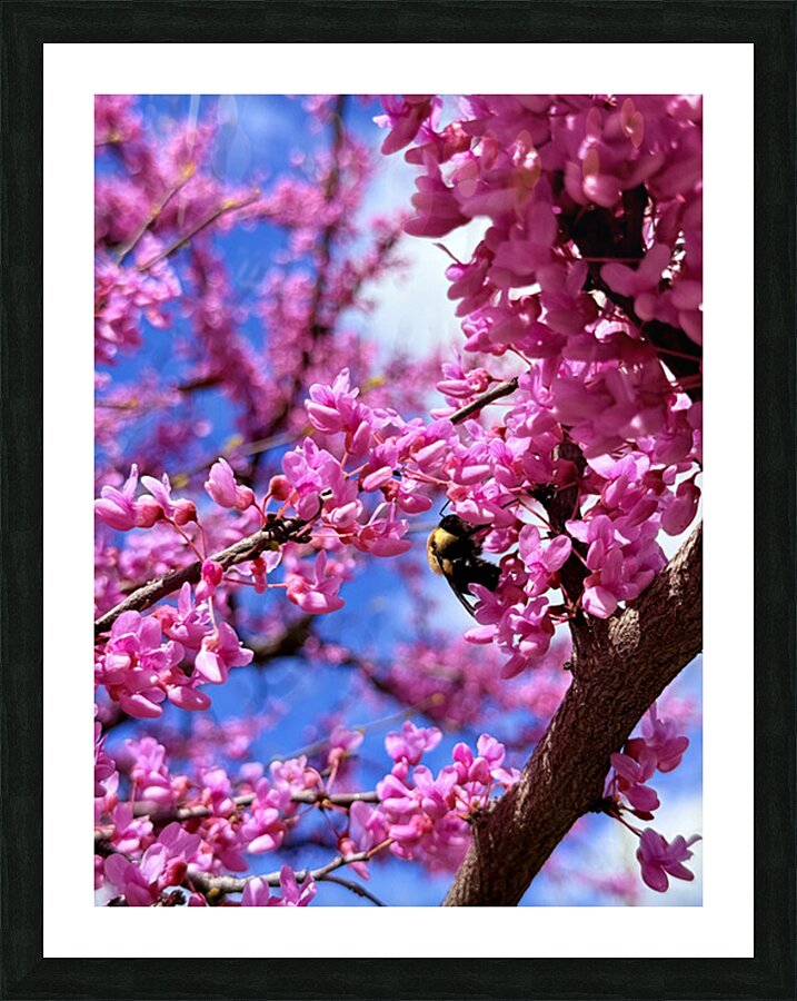 IMG 1577 Impression et Cadre photo