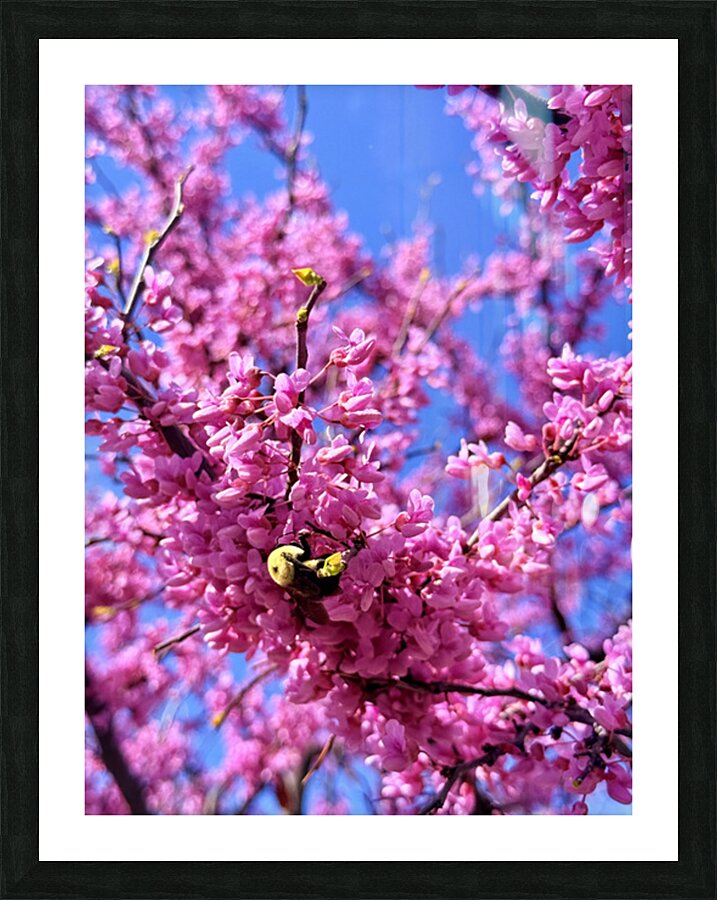 IMG 1620 Impression et Cadre photo