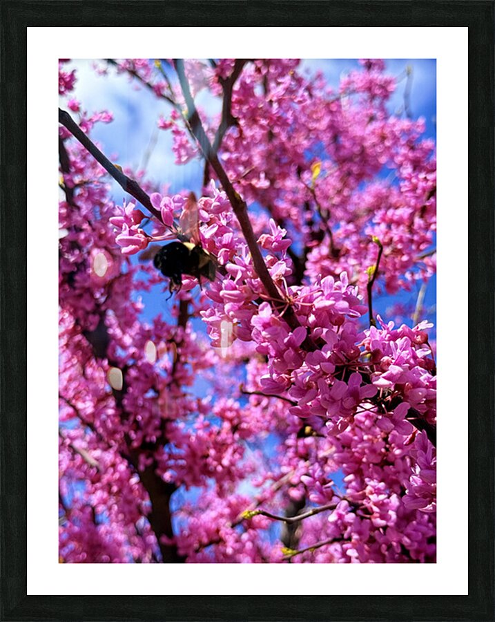 IMG 1659 Impression et Cadre photo