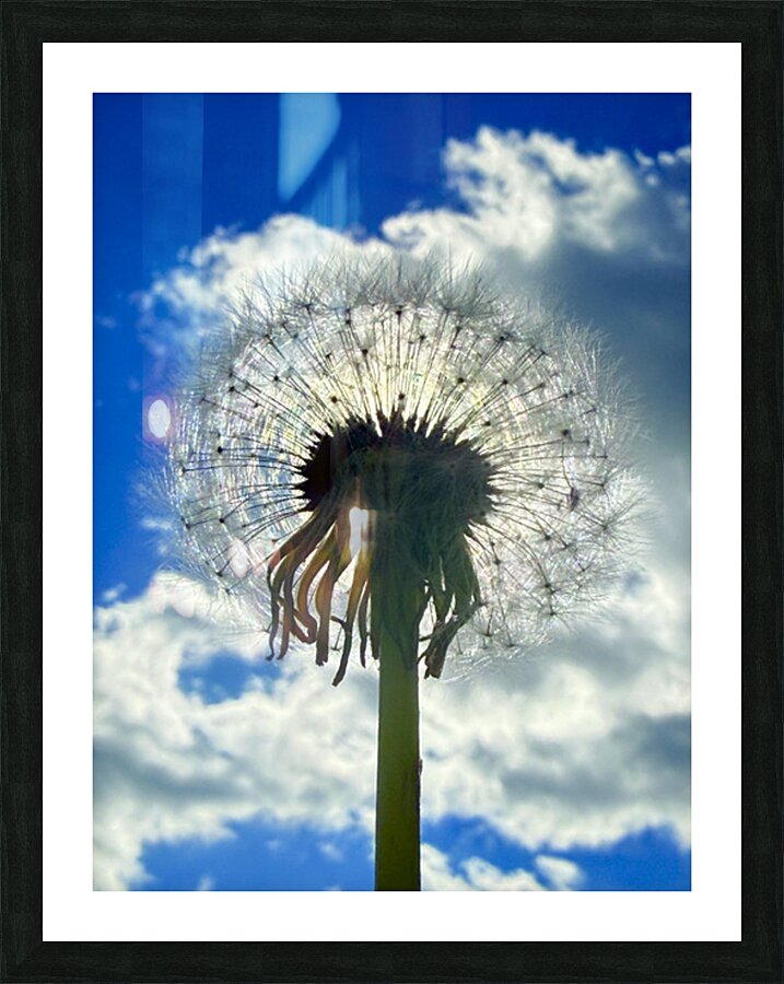 IMG 1740 Impression et Cadre photo