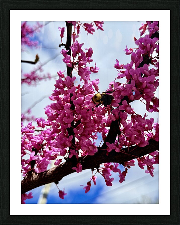 IMG 1528 Impression et Cadre photo