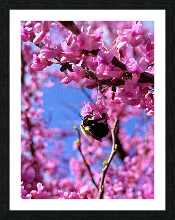 IMG 1648 Impression et Cadre photo