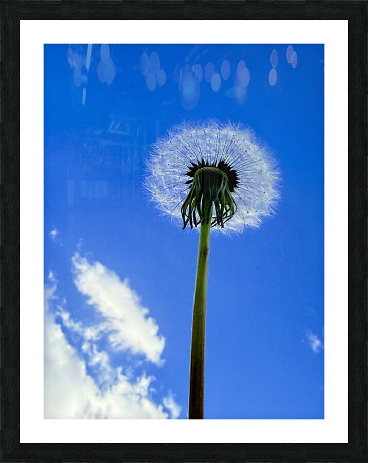 IMG 1764 Impression et Cadre photo