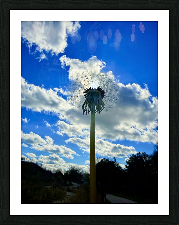 IMG 1755 Picture Frame print