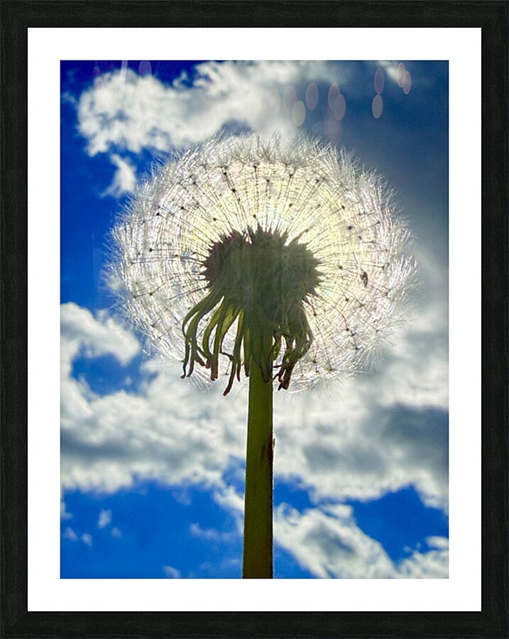 IMG 1743 Impression et Cadre photo