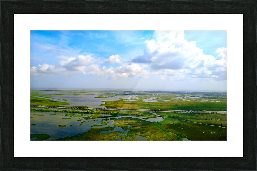New Orleans from the Sky Picture Frame print