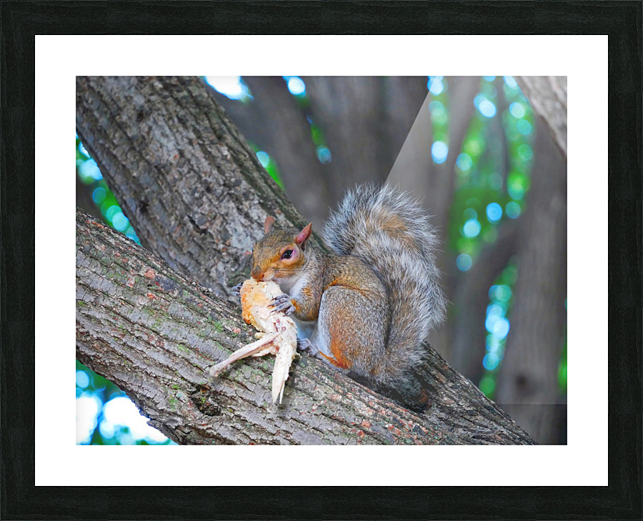 Tastes Like Chicken...Because it IS Picture Frame print