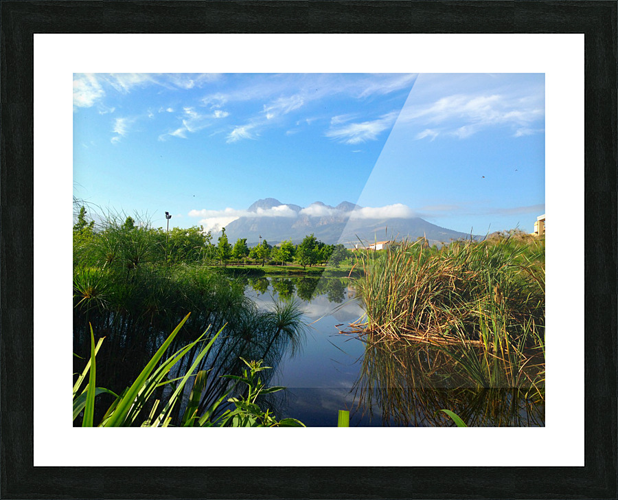 Out of Africa 2 Picture Frame print