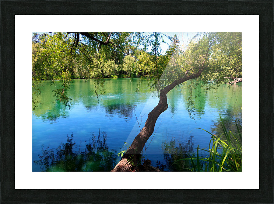 Pond Do  Picture Frame print