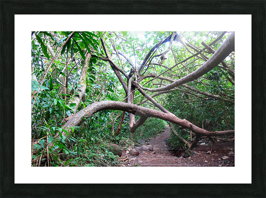 Branches of Life Impression et Cadre photo