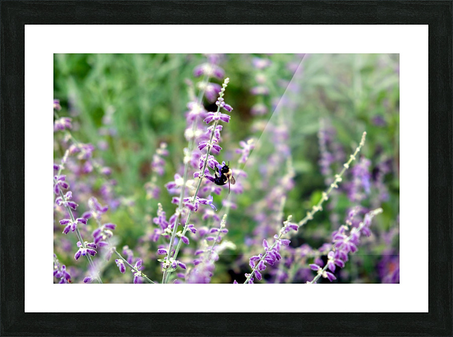 To Bee or Not To Bee--Small Flower Big Flavor 2 Picture Frame print