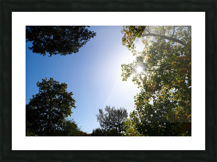 Seeing the Light Picture Frame print