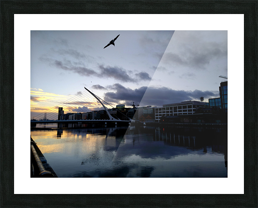 Soaring into the Sunrise Picture Frame print