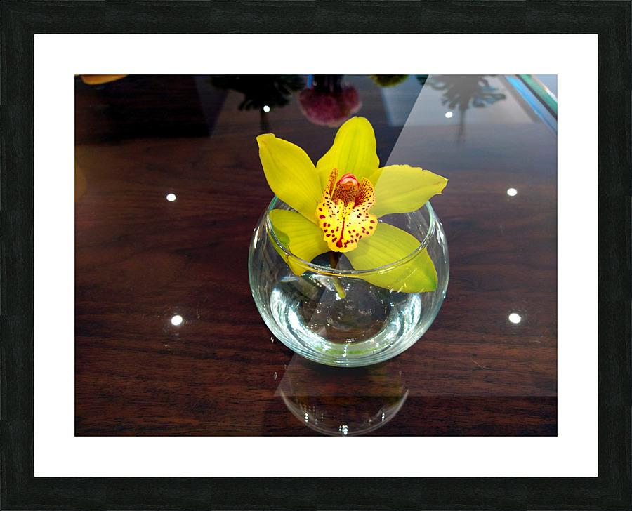 Glass Bloom 2B Picture Frame print