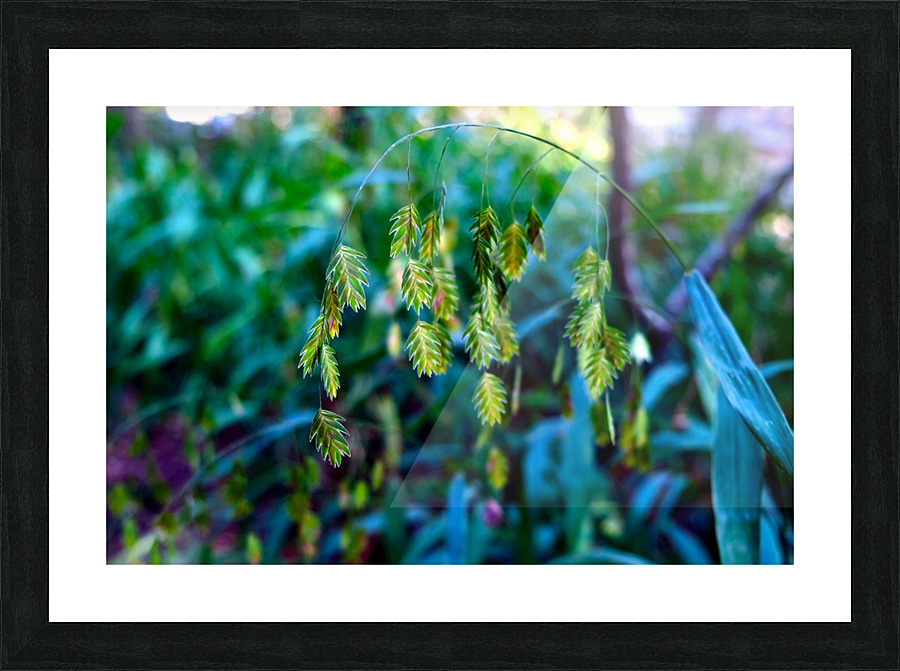 Silent Green Wind Chimes 2 Picture Frame print