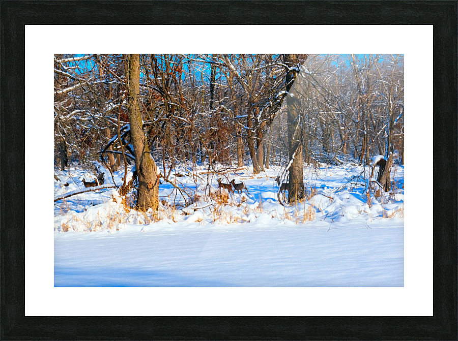 Oh Deer  Picture Frame print