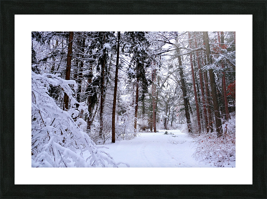 Winterscape Picture Frame print