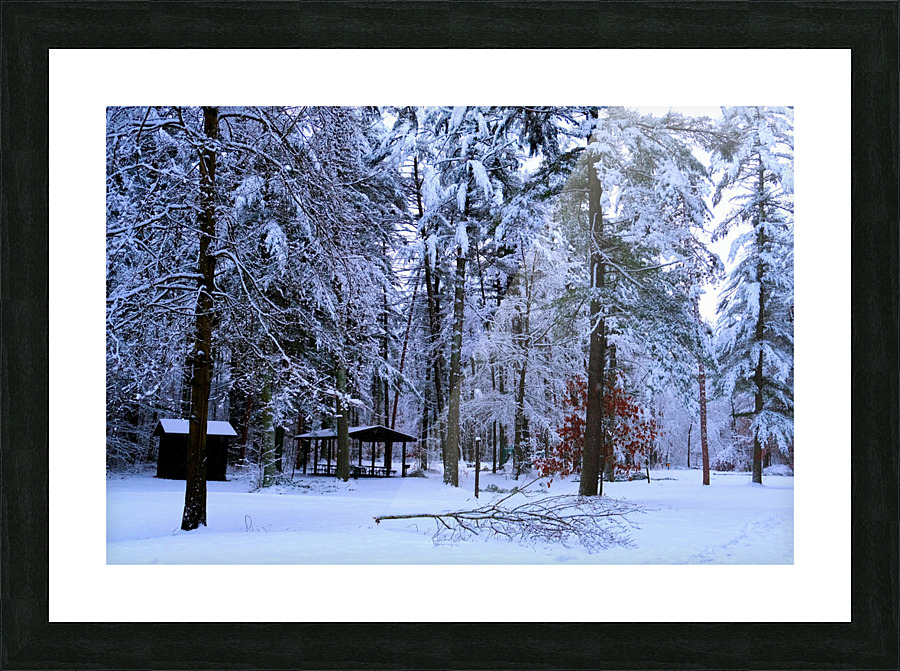 Winter Wonderland 2 Picture Frame print