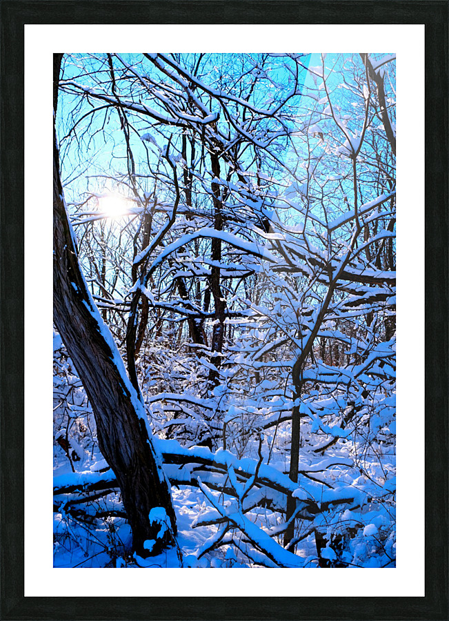 Frozen Limbs 3 Picture Frame print