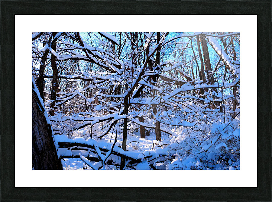Frozen Limbs 2B Picture Frame print