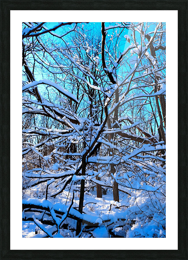 Frozen Limbs 3B Picture Frame print