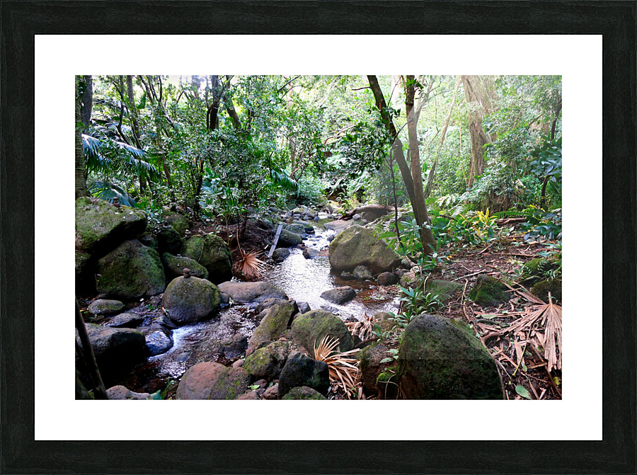 Hiking Hawaii Water Flow B Impression et Cadre photo
