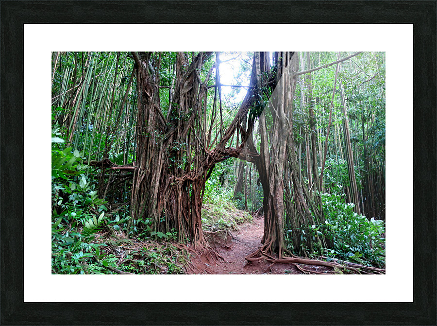 Welcome to the Jungle  Picture Frame print