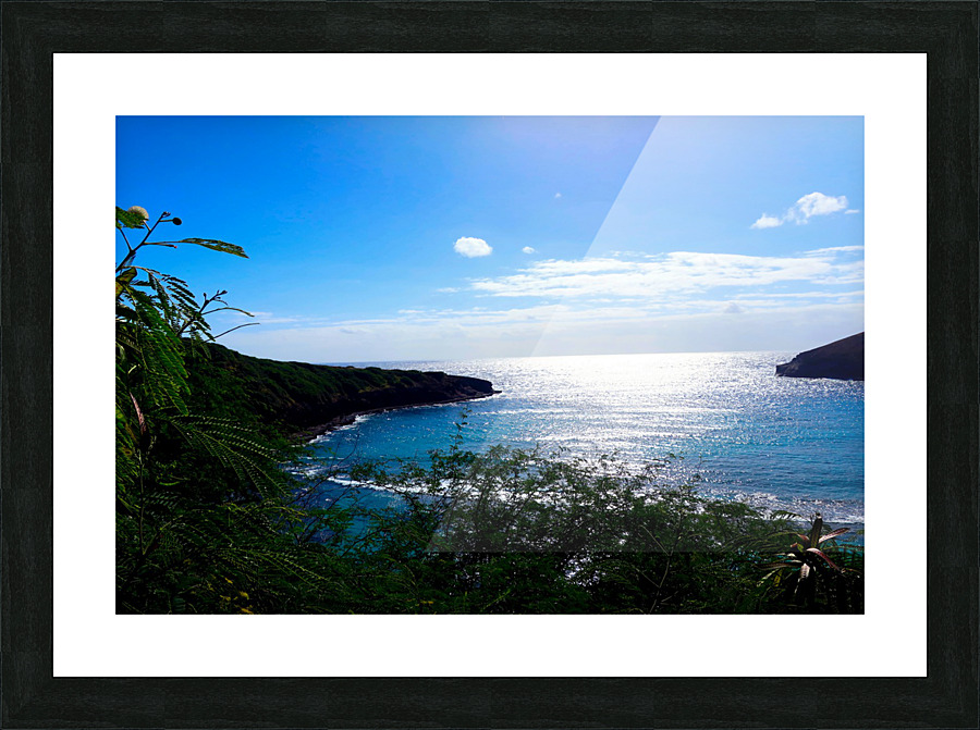 Welcome to Hawaii Impression et Cadre photo