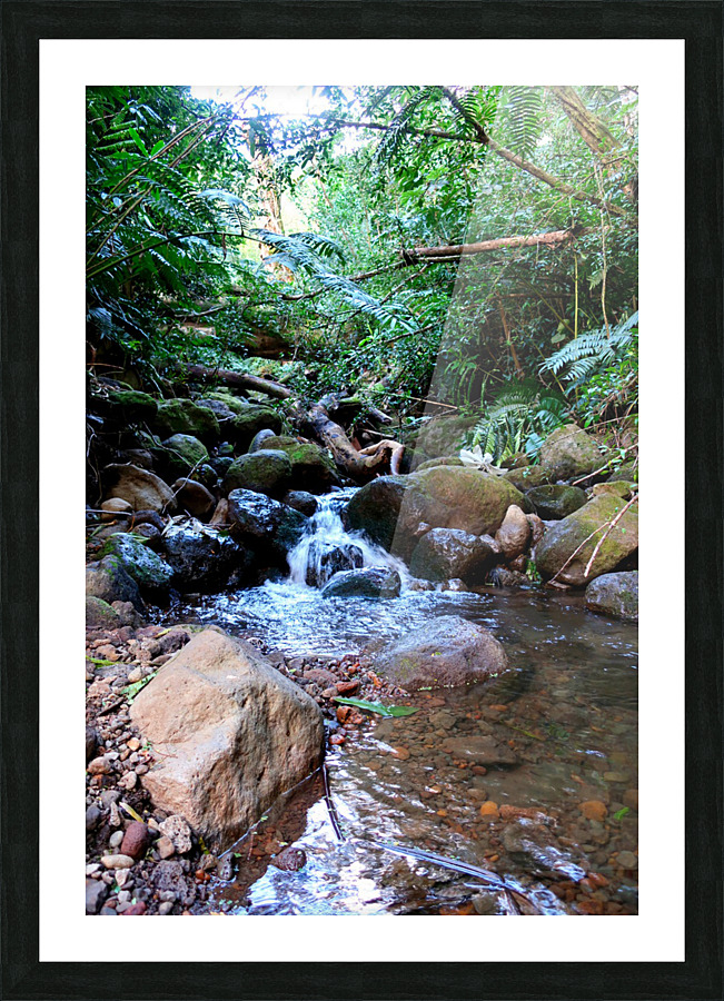Hiking Hawaii Water Flow Picture Frame print