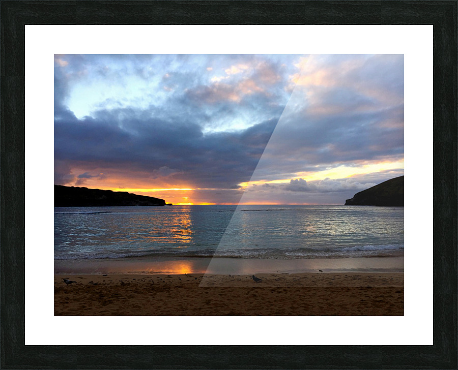 Paradise Found Picture Frame print