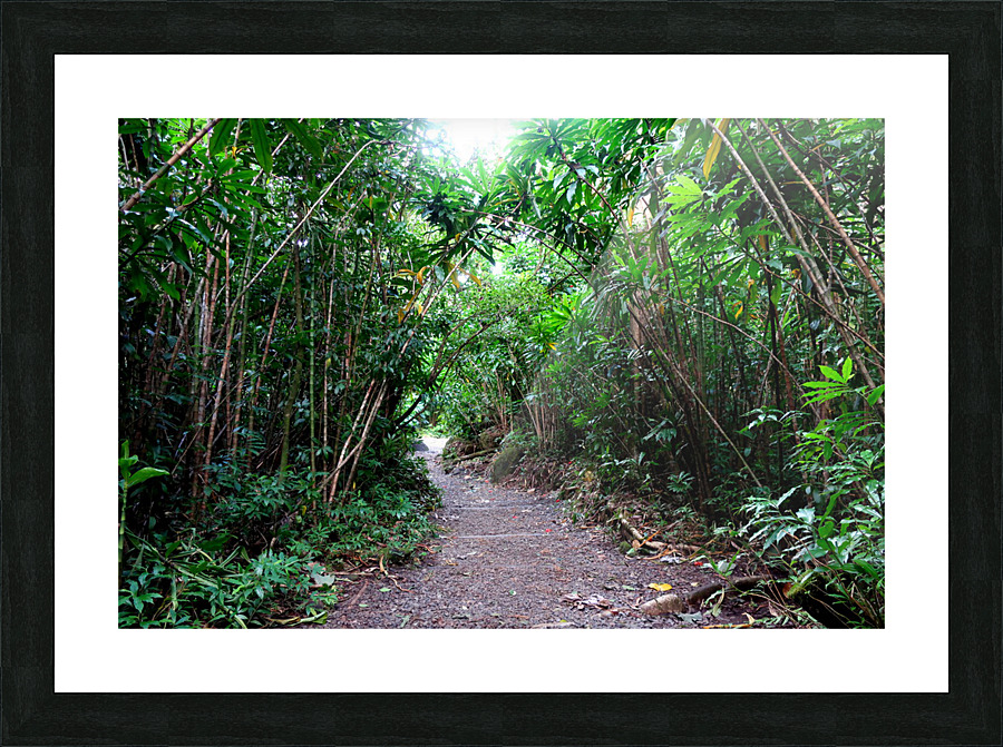 Hiking Hawaii Picture Frame print