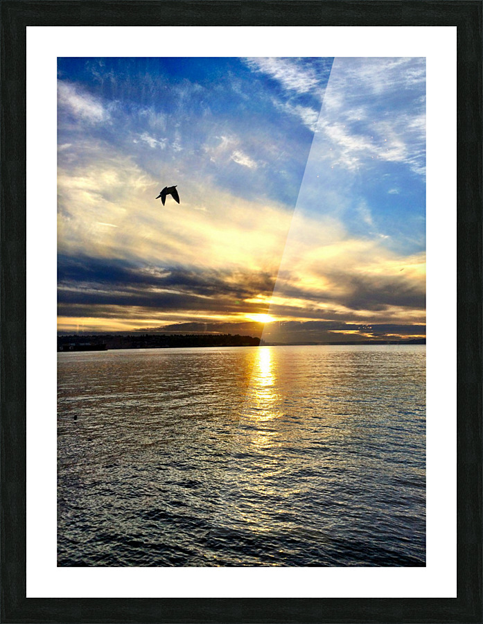 Flying Over the Edgewater Picture Frame print