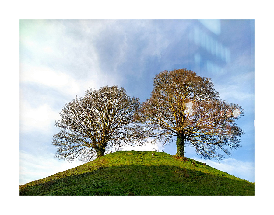 Standing Guard Picture Frame print