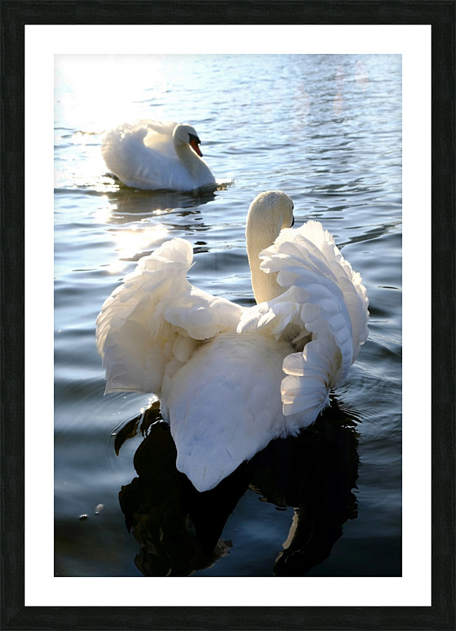 Behind Wings of Love 1A Picture Frame print