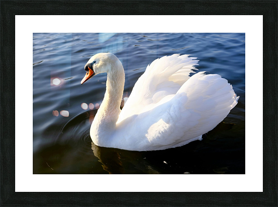 Wings of Love 1B Picture Frame print