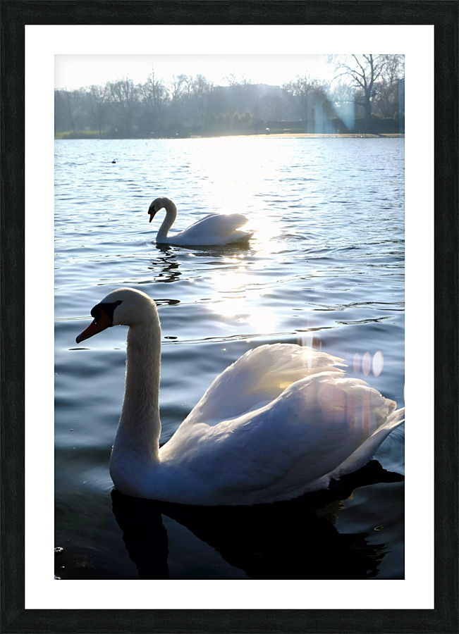 Wings of Love Pair 1B Picture Frame print