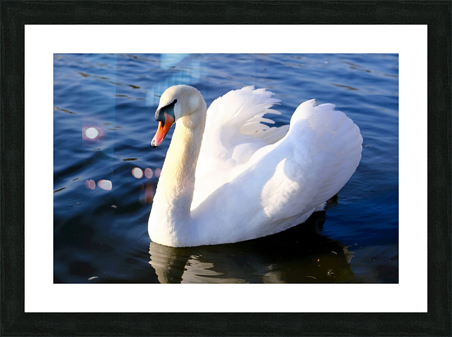 Wings of Love 1A Picture Frame print
