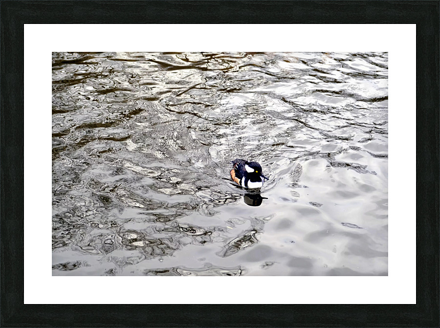 Only The Lonely Loon 1B Picture Frame print
