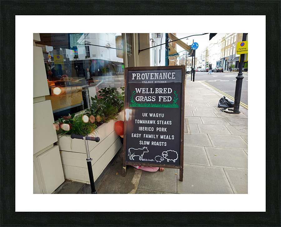 Well Bred Provenance 2 Picture Frame print