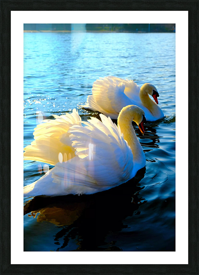 Wings of Love Pair 3 Picture Frame print