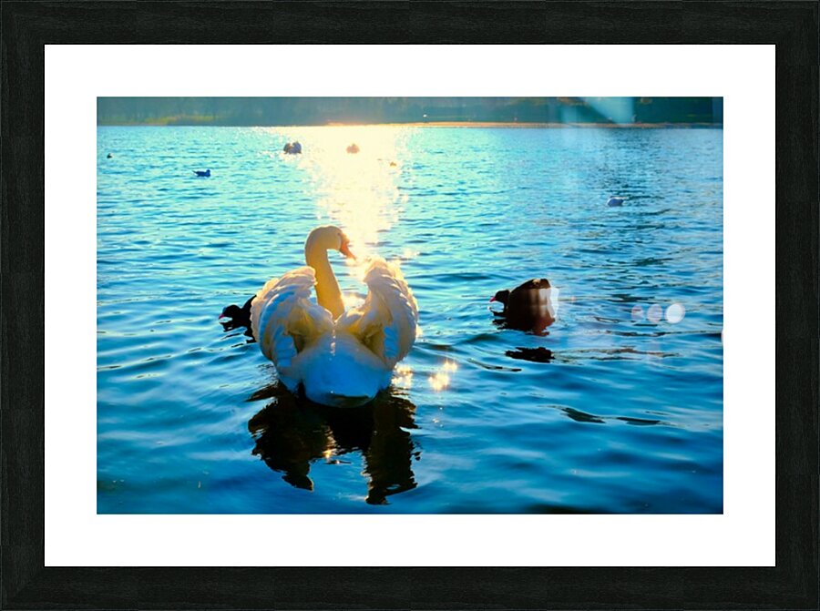 Luminous Voyage Impression et Cadre photo