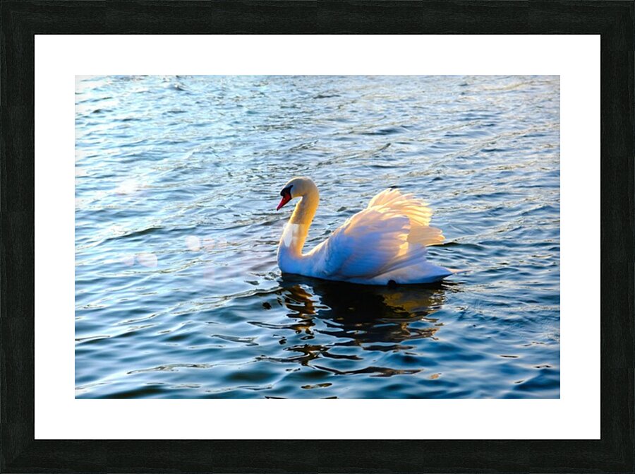 Silent Drift Picture Frame print