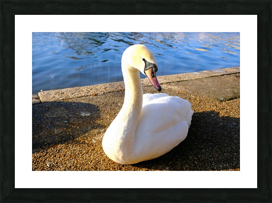 Lake’s Guardian Picture Frame print