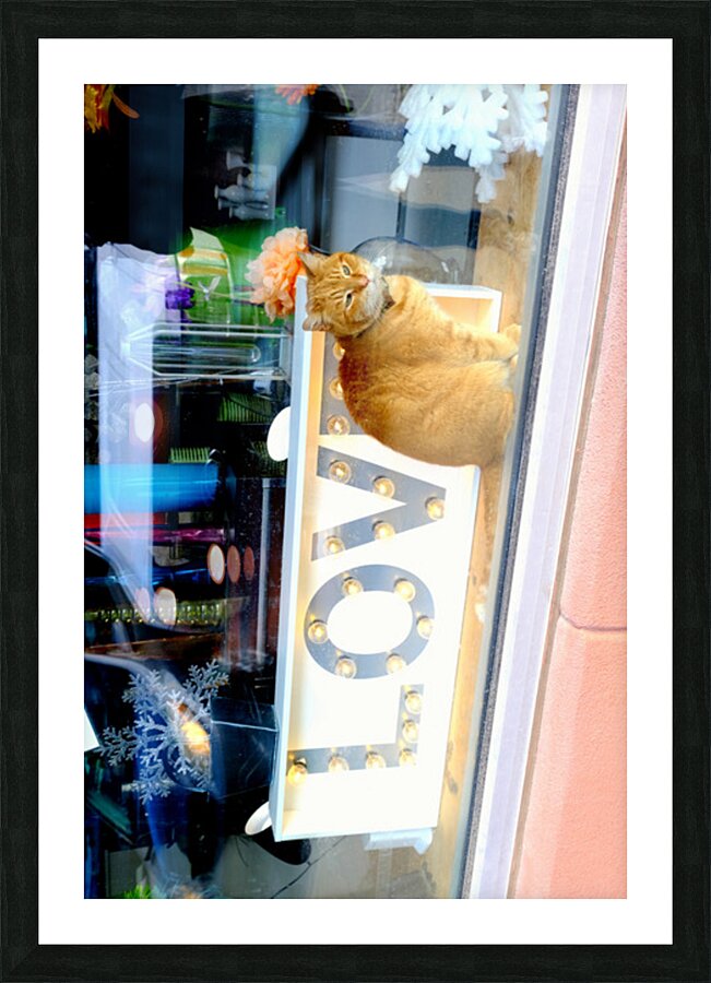 Window Watcher Picture Frame print